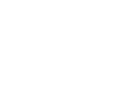 VIGEN